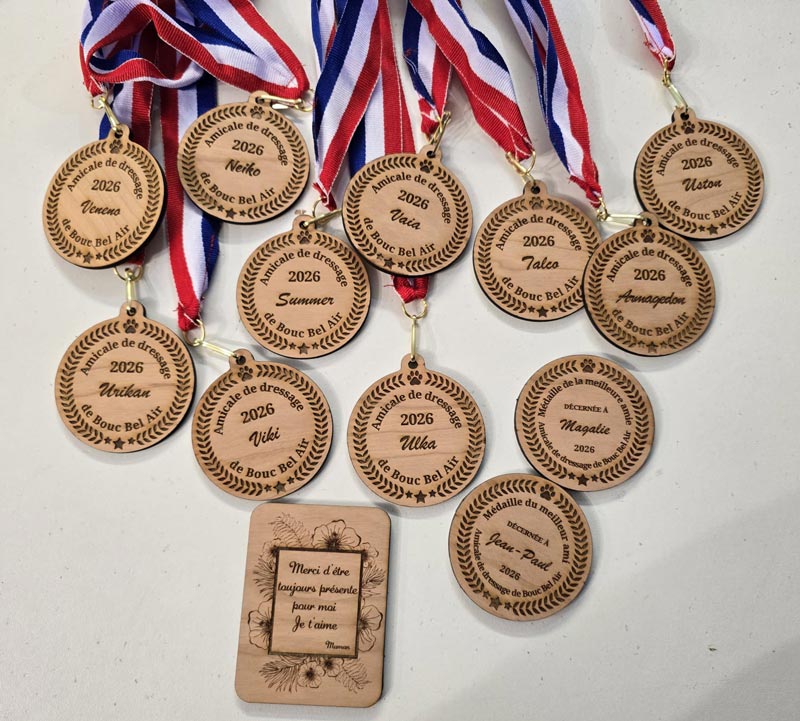 Gravure laser pour clubs de sport : médailles, trophées, récompenses et goodies personnalisés